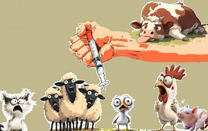 Virus SV40 dans vaccin polio - Alerte sur ARNm - Étude enfants vaccinés/non vaccinés - Troubles neuropsychiatriques & excès de décès : lien avec injection Covid ?- H.Banoun : bénéfices/risques/vaccins