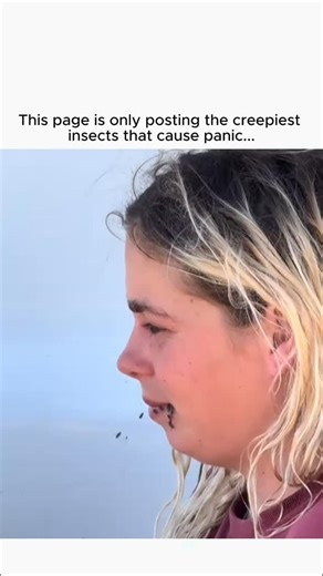 Insect Panic on Instagram: "@insectpanic - here epic bug encounters and see how people react when insects catch them off guard. 🦟🪳 #panic #insect #react"