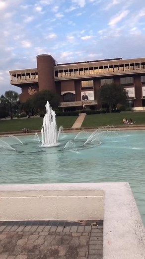 Isabelle Datz on TikTok