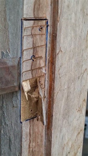 How to Install Door Hinges Like a Pro 🚪🔨 #DIYHomeImprovement #DoorHingeInstallation
