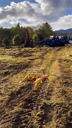 Massive chipper makes quick work of a pile of holly trees #machine #LandClearing #farming #land #newfarm | Blackberry Bog Farm