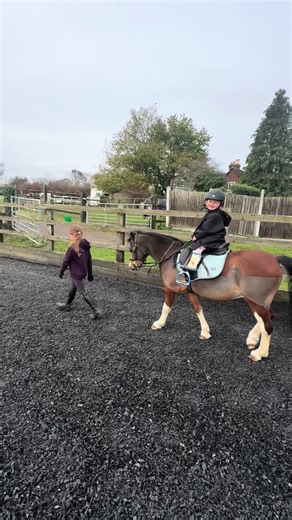 “Summer leading the way… Sadie along for the ride.” #theponysisters#PonyLife#PonySisters#equestrian#shetlandponytiktok