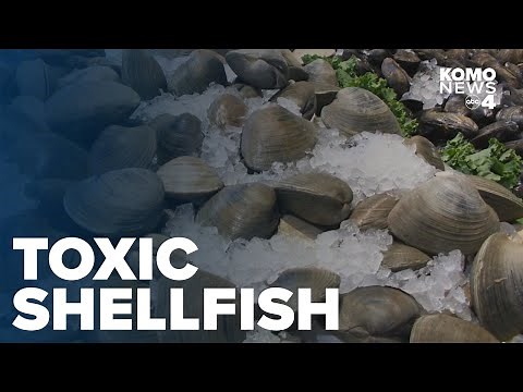 Officials warn of toxic shellfish on Washington's Pacific Coast
