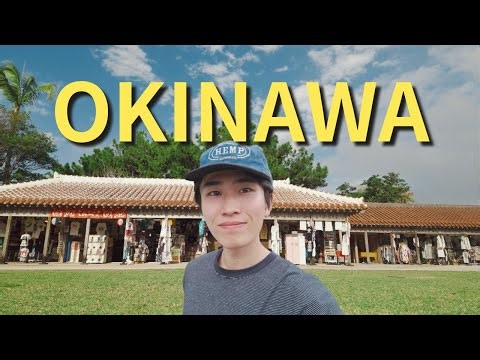 Okinawa Vlog 🇯🇵 | I Lost My Job in Japan, But Here's What I Found