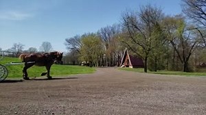 9.1K views · 41 reactions | Whisk your partner away to our stunning couple’s resort for a little rest & relaxation! All of our cabins feature a Whirlpool tub, a butler door featuring treats and surprises & a fully equipped fire pit to make your stay with us absolutely perfect. Visit our website to browse our cabins & packages.  https://www.serenity-springs.com/cabins-page | Serenity Springs | Facebook