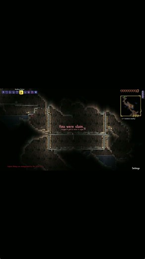 Small crash out #terraria #gaming