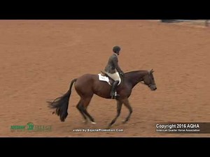 A Judges Perspective: 2016 Select Hunter Hack World Champion