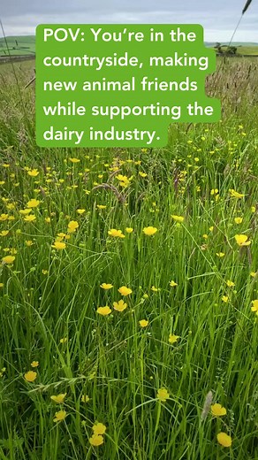 🐄Love cows?🐄 NMR Vacancy - Self-Employed Milk Sampler - Dorchester/Sherborne Does being outdoors, travelling between farms, and supporting the dairy industry appeal to you? If so, we want to hear from you! We're looking for dedicated, self-employed Milk Samplers to join our team. This role offers the freedom to work across the beautiful countryside whilst supporting dairy farmers. For more info click 👇 https://careers.abagri.com/vacancies/vacancy-search-results.aspx | National Milk Records Lt