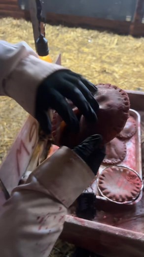 The Scream Factory was a great night out for Halloween | Right Guys Reviews