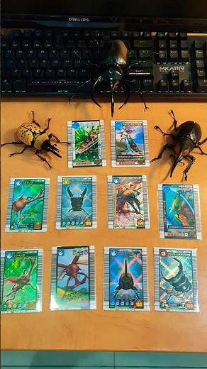 甲虫王者ムシキングカードコレクション #ムシキング #甲虫王者ムシキング #mushiking #甲蟲王者