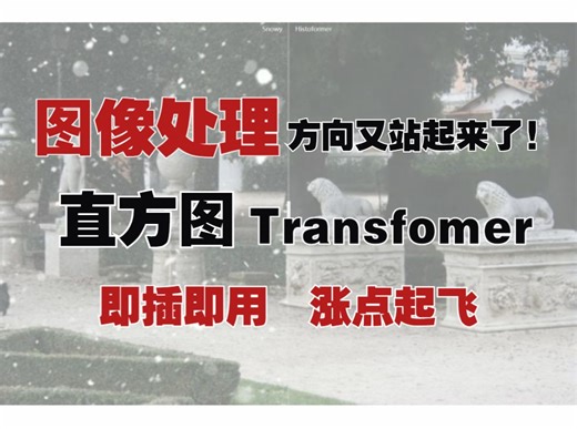 图像处理又站起来了！ 最新直方图transfomer即插即用，涨点直接起飞！