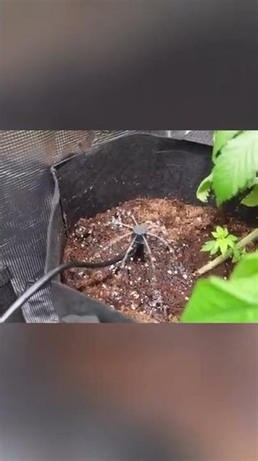 Mars Hydro New Foldable Bucket Drip Irrigation Kits