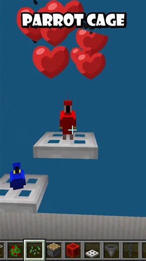 Parrot Cage #marblemusic