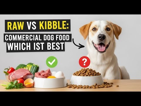 Raw Diet vs Commercial Dog Food: Which is Best for Your Dog’s Health?