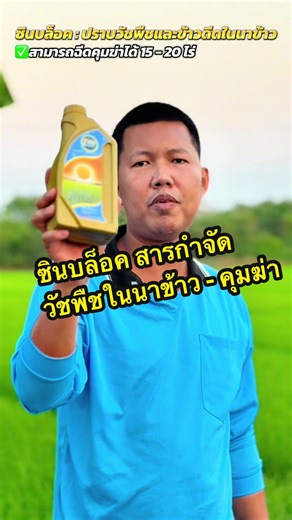 #ซินบล็อค #สารกําจัดวัชพืชในนาข้าว #คุมฆ่าหญ้าในนาข้าว #ชาวนา #เทรนด์วันนี้