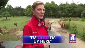 14K views · 152 reactions | Take a sneak peek at the rhino feeding time at the North Carolina Zoo | FOX8 | Facebook