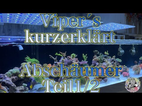 Kurzerklärt Abschäumer Teil 1/2