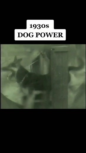 #foryou #viralvintage #fyp