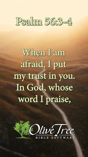 1.6K views · 78 reactions | Psalm 56:3-4 When I am afraid, I put my trust in you. In God, whose word I praise, in God I trust; I shall not be afraid. What can flesh do to me? #verseoftheday #psalm | Olive Tree Bible | Facebook