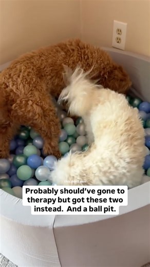 Watch Ball pit and balls to have fun with! on Amazon Live