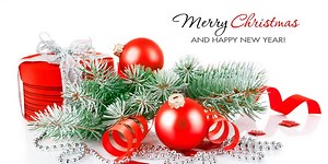 Merry Christmas and a Happy New Year! Why Do We Celebrate Christmas on December 25th?