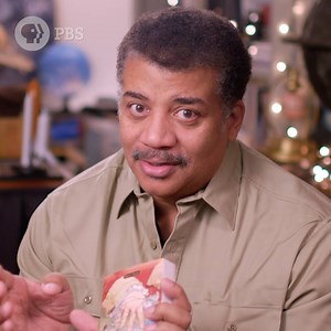 Find out which book Neil deGrasse Tyson has read eight times, describing it as “a tapestry of social commentary.” #GreatReadPBS | Great American Read PBS