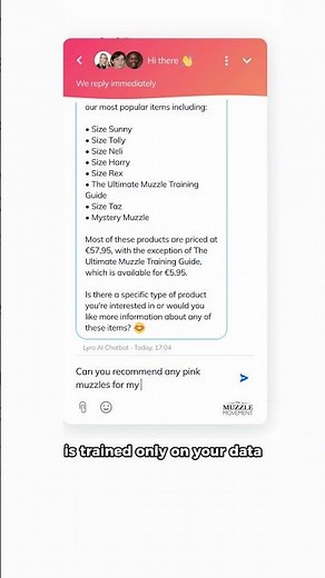 Tidio Lyro AI Tested Against Other Support Tools