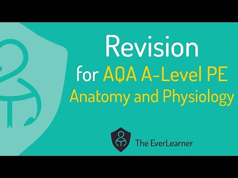 AQA A-Level PE 2022 Revision: Anatomy and Physiology