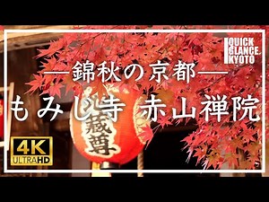 京都紅葉 🍁 赤山禅院 〜比叡山延暦寺の塔頭寺院である赤山禅院は、境内には鳥居、拝殿や本殿があり神社の雰囲気を併せ持つ神仏習合の寺院です。もみじ寺とも呼ばれる赤山禅院の紅葉をご覧ください。