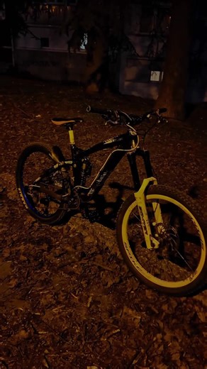 Exploring the Thrills of Freeride Mountain Biking