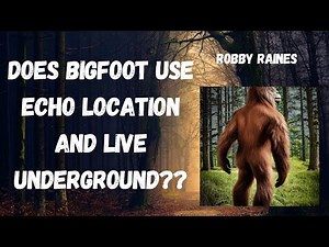 Cryptid and Bigfoot researcher and enthusiast Robby Raines - #69 Bobby Dizzle Podcast