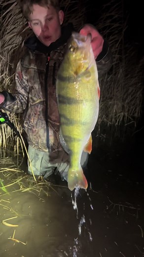 Catching a 52.1CM Perch: Tips and Techniques