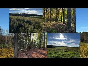 Southern Tier NY - Home or Hunting Camp Site - Prices Start at $19,995