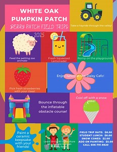 9.9K views · 39 reactions | We are now scheduling Spring Berry Patch field trips! Text 606-791-8620 for more information! | White Oak Pumpkin Patch | Facebook