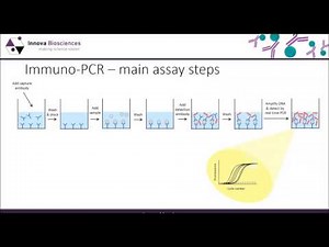 Thunder-Link® PLUS Webinar: A guide to Immuno-PCR
