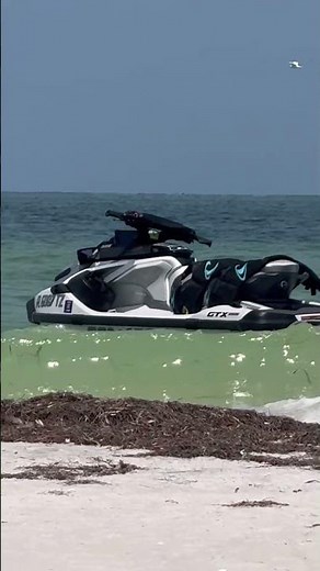 Anclote Island
