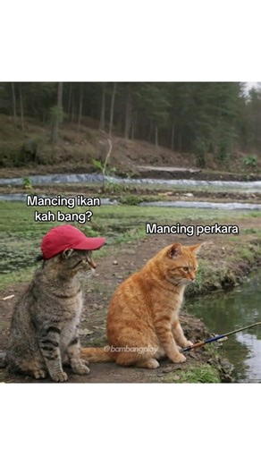 The Most Relatable Meme Collection! Which One’s Your Favorite? ✨ #shorts