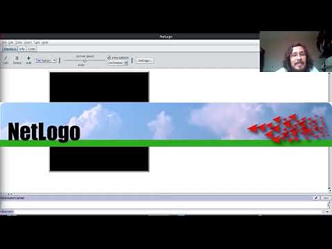 Práctica 0: Introducción a NetLogo - Introducción