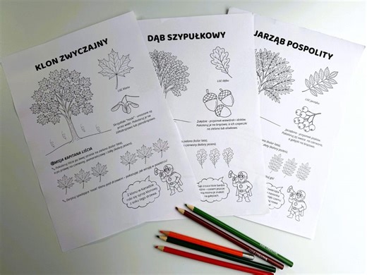 Autumn Trees Coloring Pages for Kids | Printable Nature Worksheets | Fall Trees Coloring Book PDF - Etsy