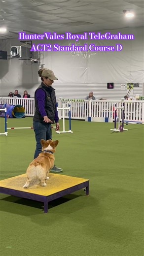 HunterVales Royal TeleGraham ACT2 Standard Course D