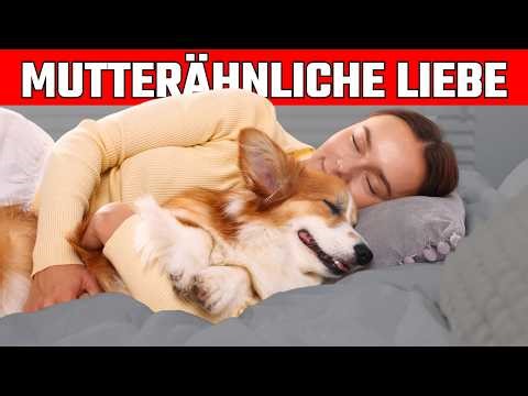 7 things your dog will only do if he loves you like his mother