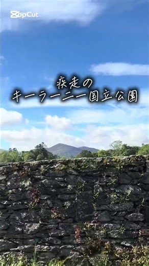 歩いてたら、急に景色が抜けた。｜Killarney National Park 🇮🇪