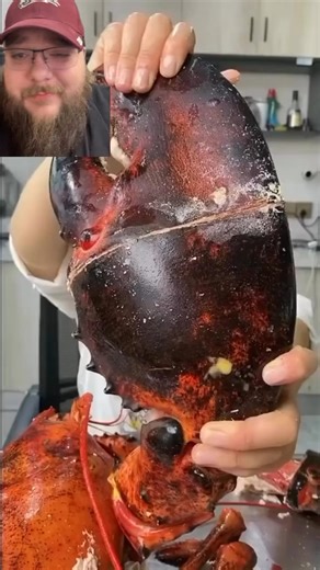 The crab shell cracked | Brandon J McDermott