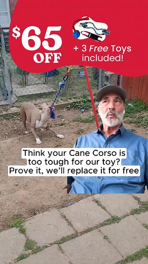 GET 30% OFF: Did you know the #1 cause of dog behavioural issues is lack of mental and physical stimulation? Yes, playtime! A tired dog is a happy dog. And a happy dog is a good dog! That's why we created a toy to stand up to any breed for hours of play, month after month. Check out the toy that's guaranteed to stand up to your dog's tug or we will repair, replace, or refund your purchase. "My 115 lb Rottweiler hasn't been able to pull it out in over a year." -Barry S. 🇺🇸Shipped from Missouri 