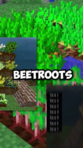 Minecraft Mods: Things That Were Mods First