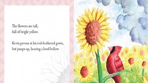 Watch Story Time Video on Amazon Live