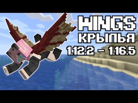 WINGS//WINGS//MOD REVIEW FOR MINECRAFT 1.12.2 AND 1.16.5