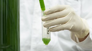 Honda DREAMO｜テクノロジー｜Honda公式サイト