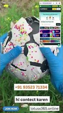 Lotus 365 Login Process Step by Step | Lotus365 Login | Lotusx365 Official