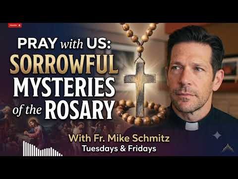 The Sorrowful Mysteries of the Rosary with Fr. Mike Schmitz(Tuesdays & Fridays